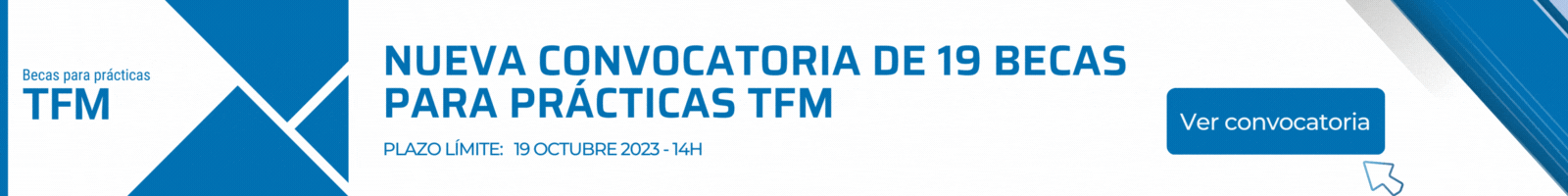 19 becas